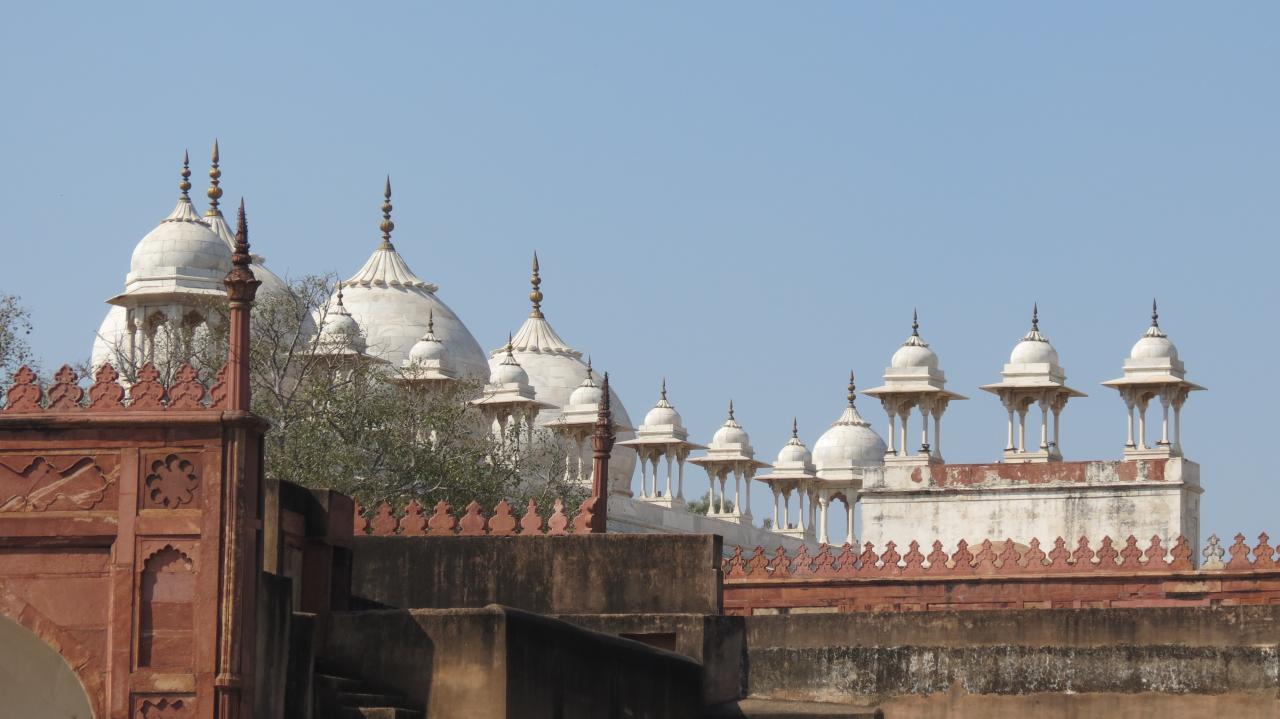 Agra (8)