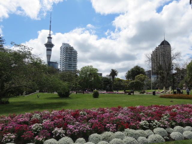 Auckland (225)