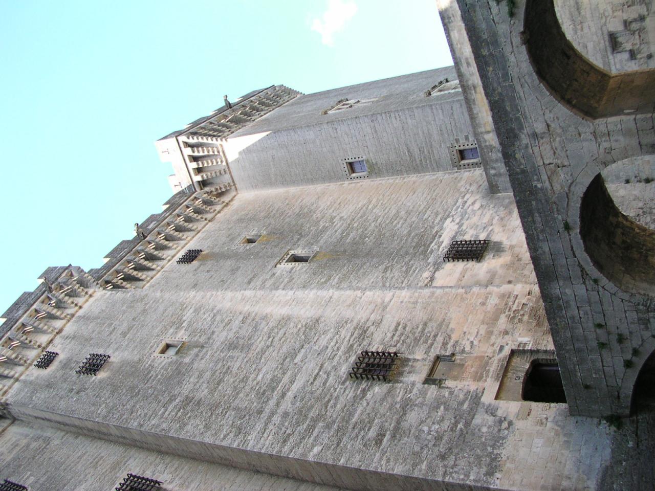 Avignon (4)