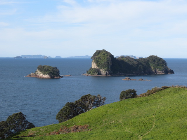 cathedral cove (19)