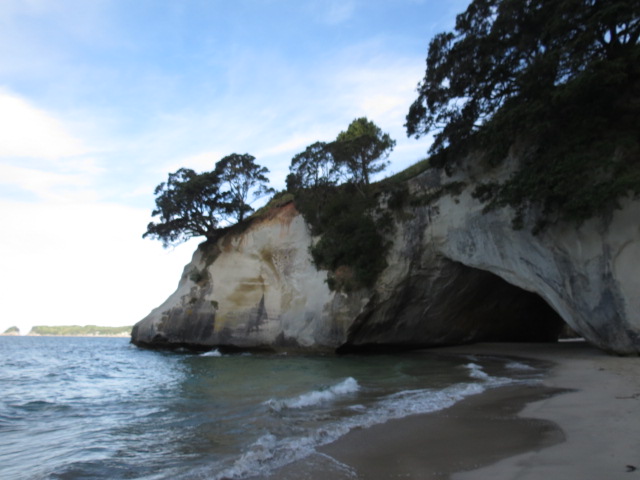 cathedral cove (33)