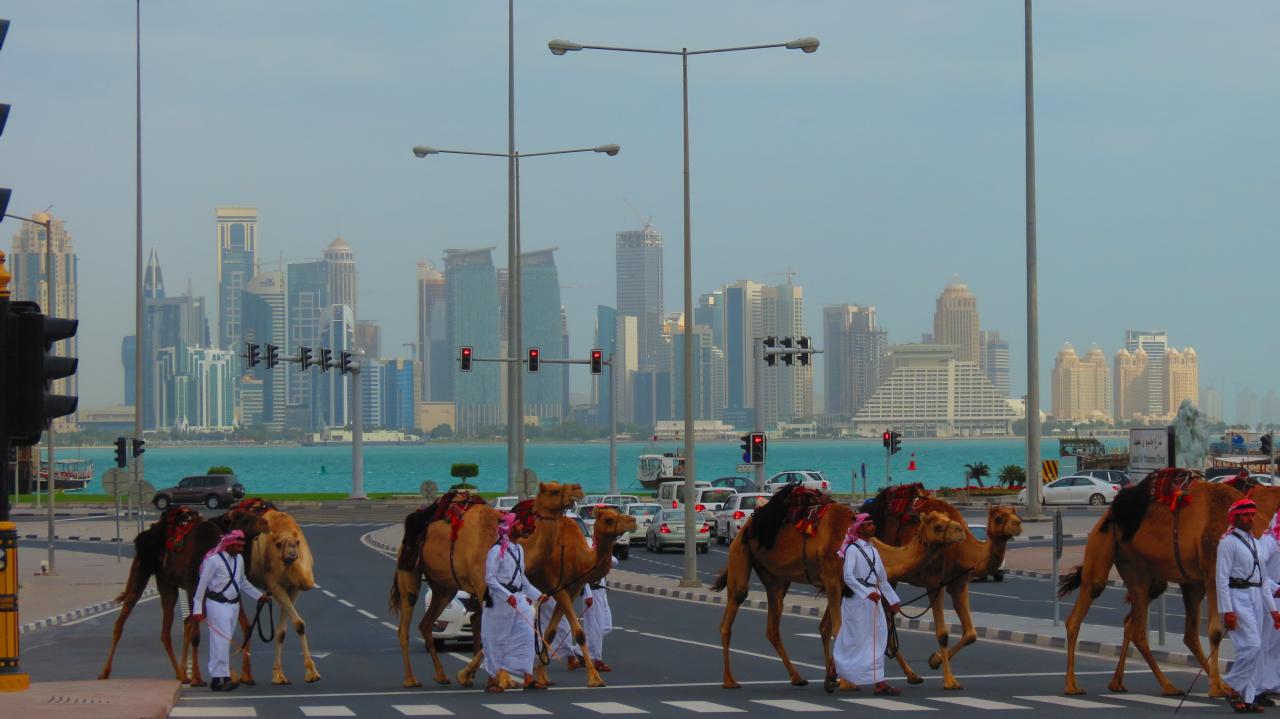 Doha (59)