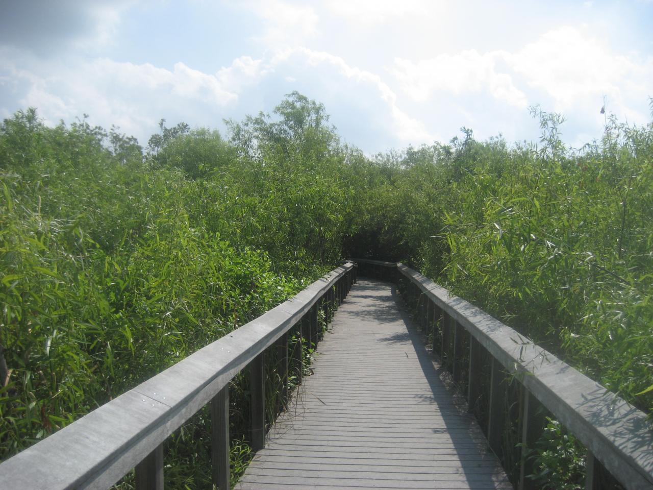 Everglades National Park (13)