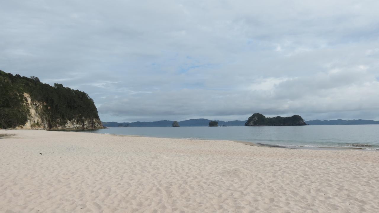hahei beach (9)