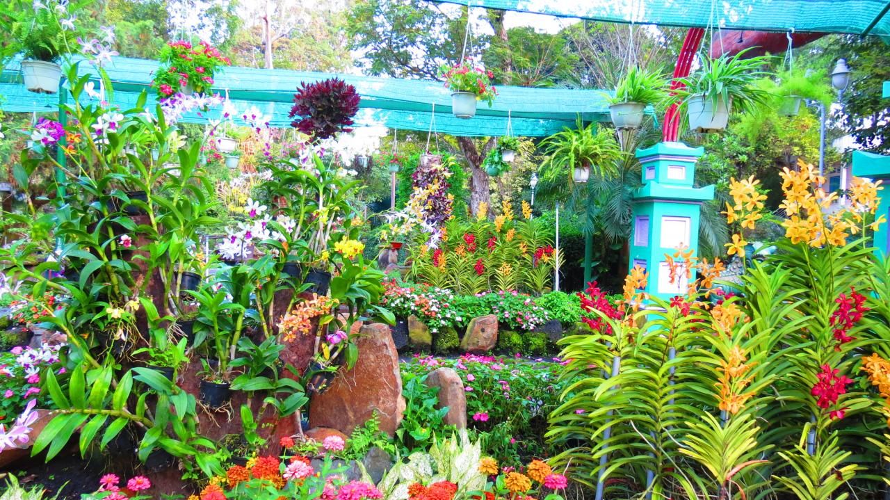 Ho Chi Minh Jardin Botanique (7)
