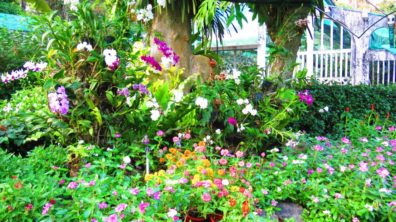 Ho Chi Minh Jardin Botanique (9)