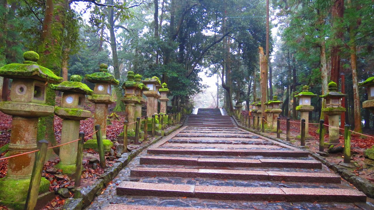 Nara Sanctuaire Kasuga (8)
