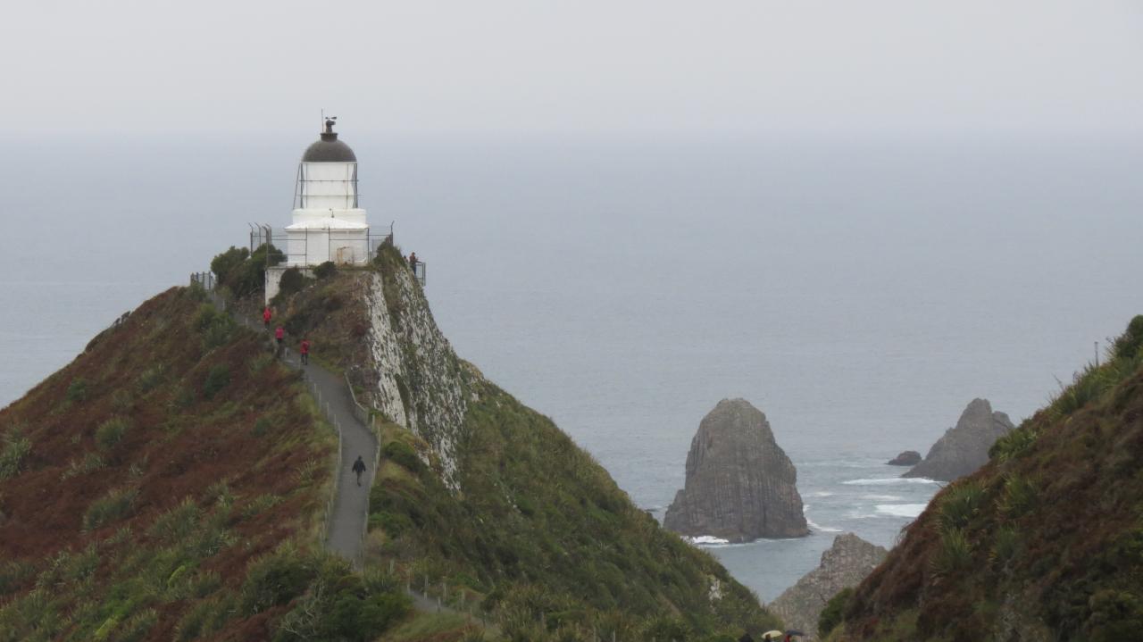 Nugget Point (10)