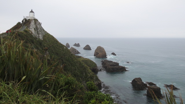 Nugget Point (27)