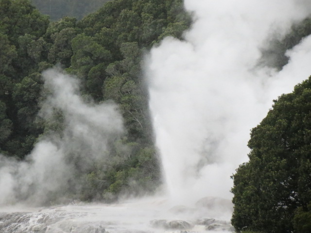 Te Puia National Park (75)