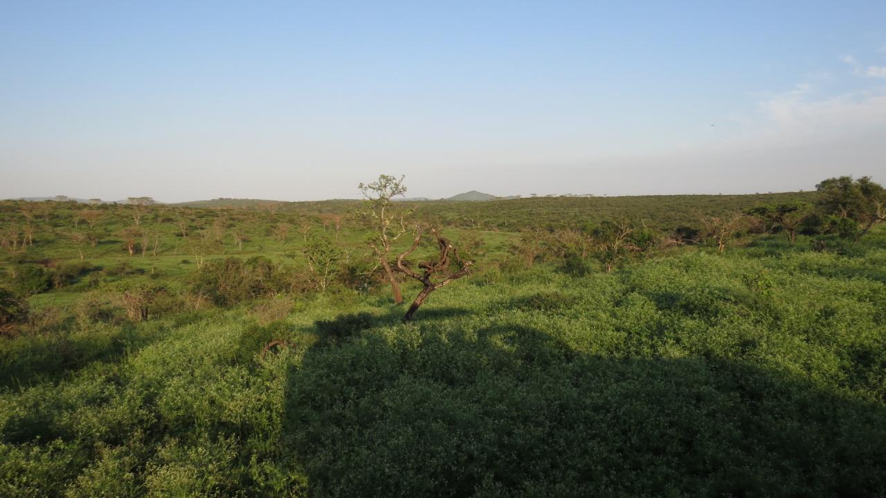 Zulu Nalya Reserve 