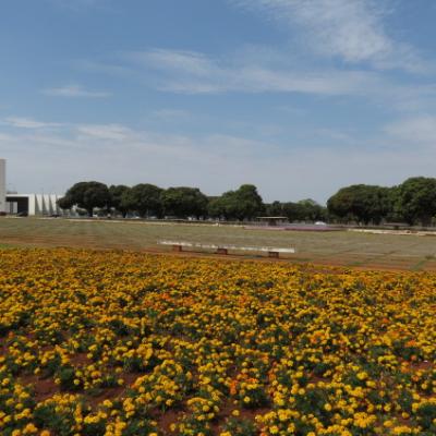 Brasilia eixo monumental 9