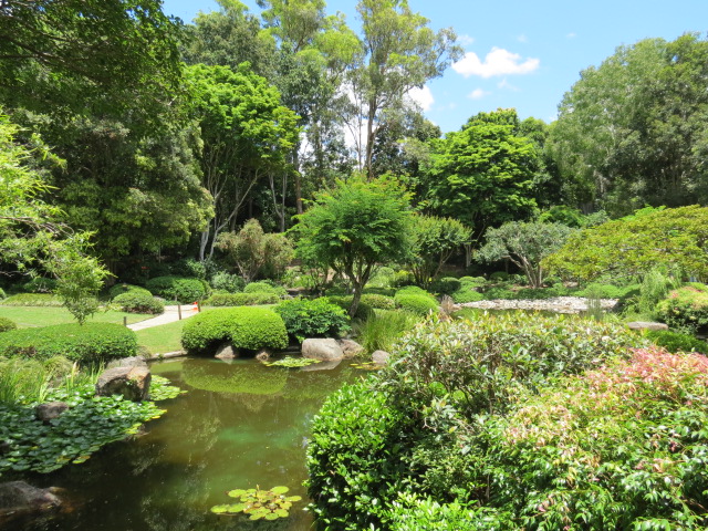 Brisbane jardin botanique du mont coot tha 20