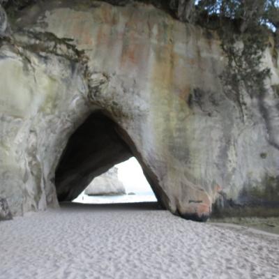 Cathedral cove 26
