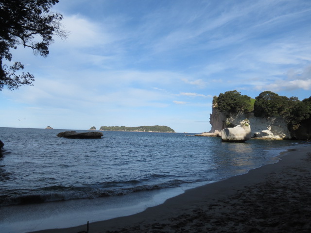 Cathedral cove 29