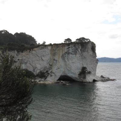 Cathedral cove 49