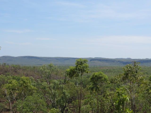 Kakadu national park bukbukluk 6