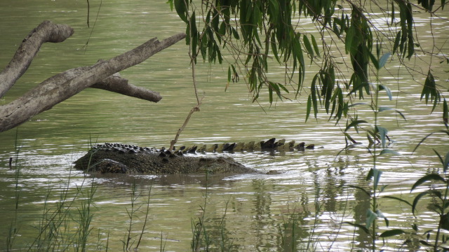 Kakadu national park east alligator river 16