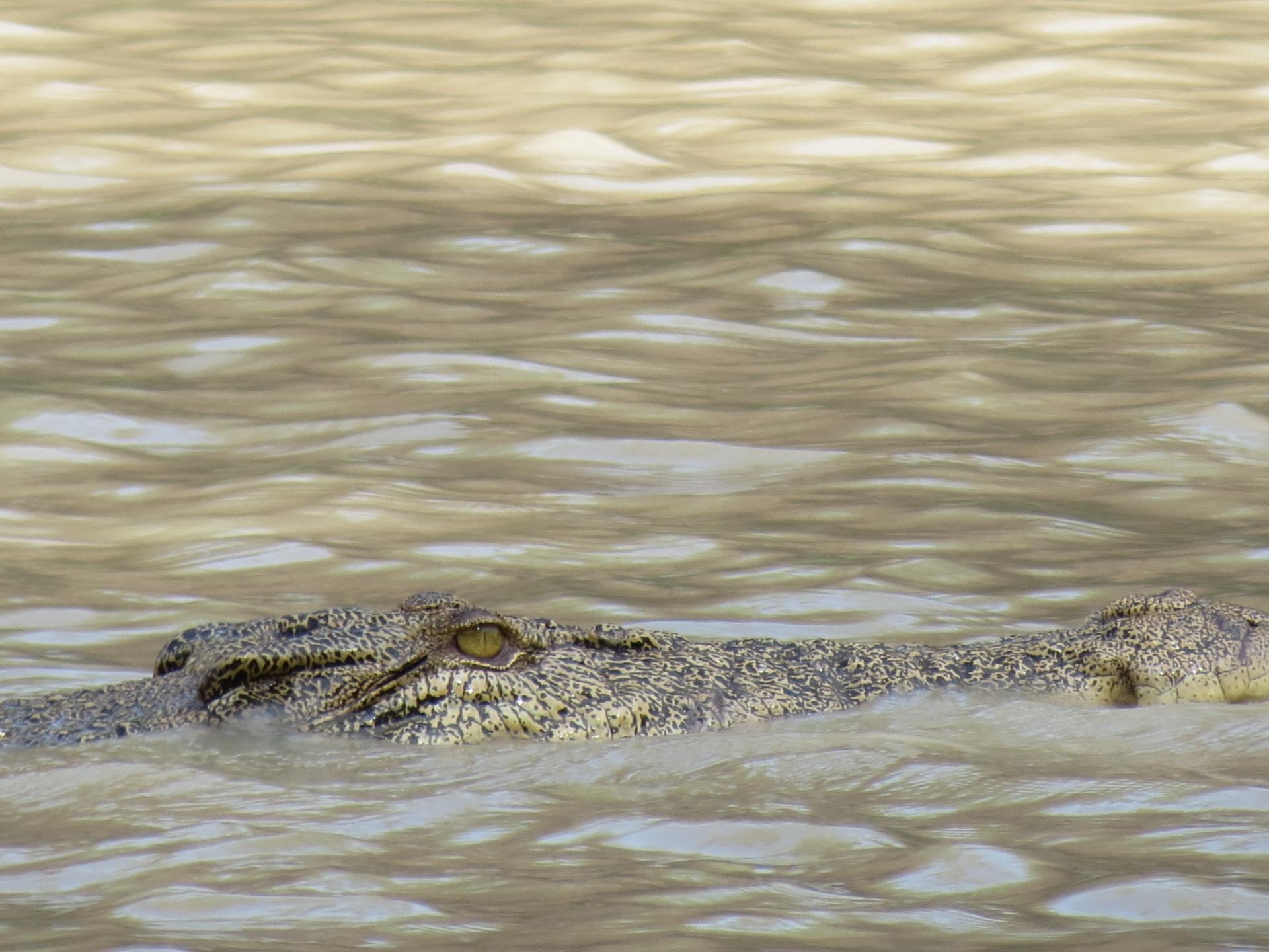 Kakadu national park east alligator river 6