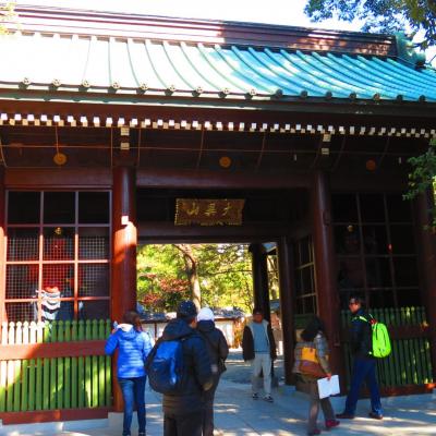 Kamakura kotokuin monastere 3