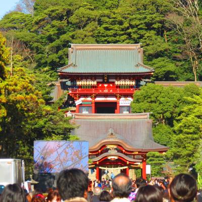 Kamakura sanctuaire tsurrgaoka 13