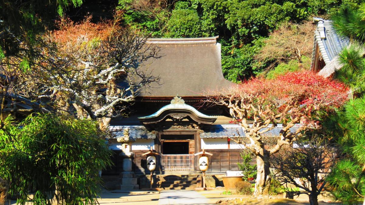 Kamakura temple zuirokusan engakuji 16