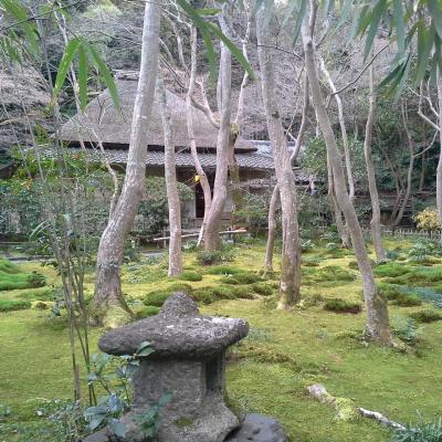 Kyoto gio ji temple 3