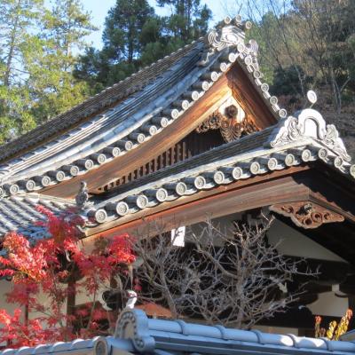 Kyoto nazenji temple 11