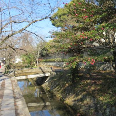 Kyoto philosophy path 14