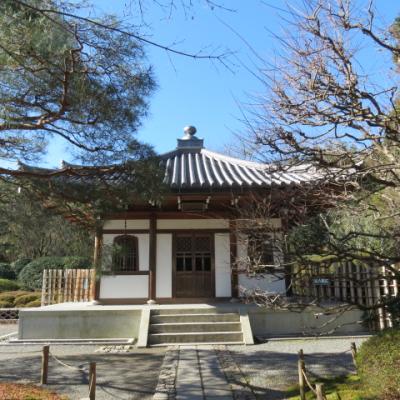 Kyoto ryoanji temple 19