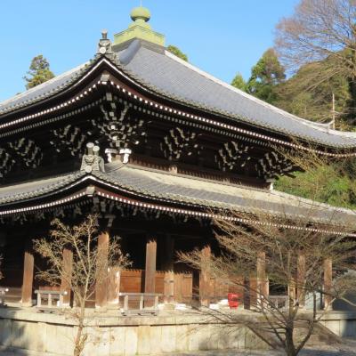 Kyoto shoren in temple 8