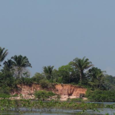 Manaus croisiere sur le rio negro 10