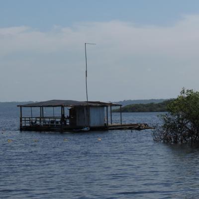 Manaus croisiere sur le rio negro 25