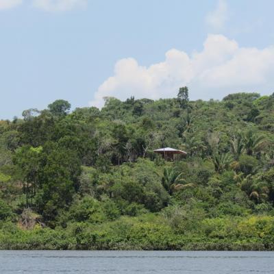 Manaus croisiere sur le rio negro 27