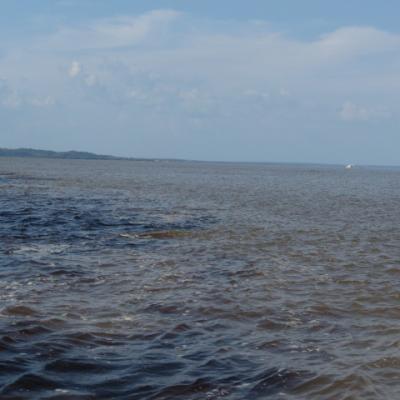 Manaus rencontre des eaux 12