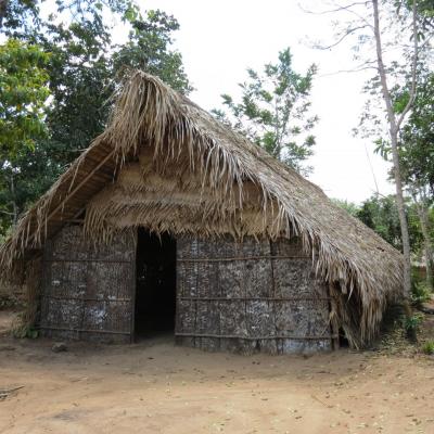 Manaus rencontre tribue amerindienne 2
