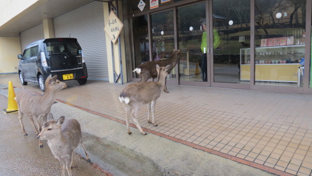 Nara 153