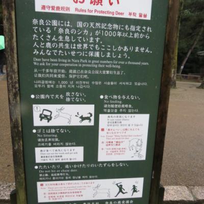 Nara parc 4