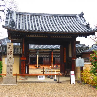 Nara temple gangoji 14