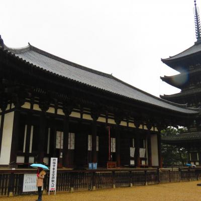 Nara temple kofukuji 7