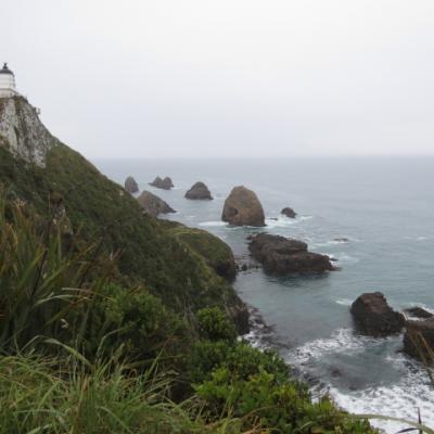 Nugget point 24