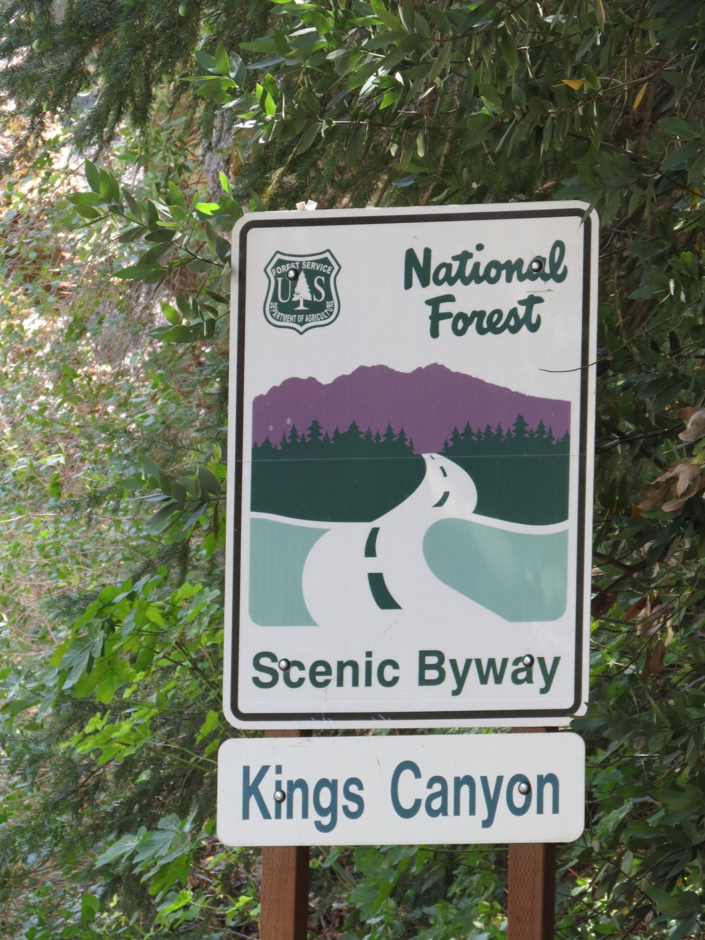 Sequoia kings canyon np 30