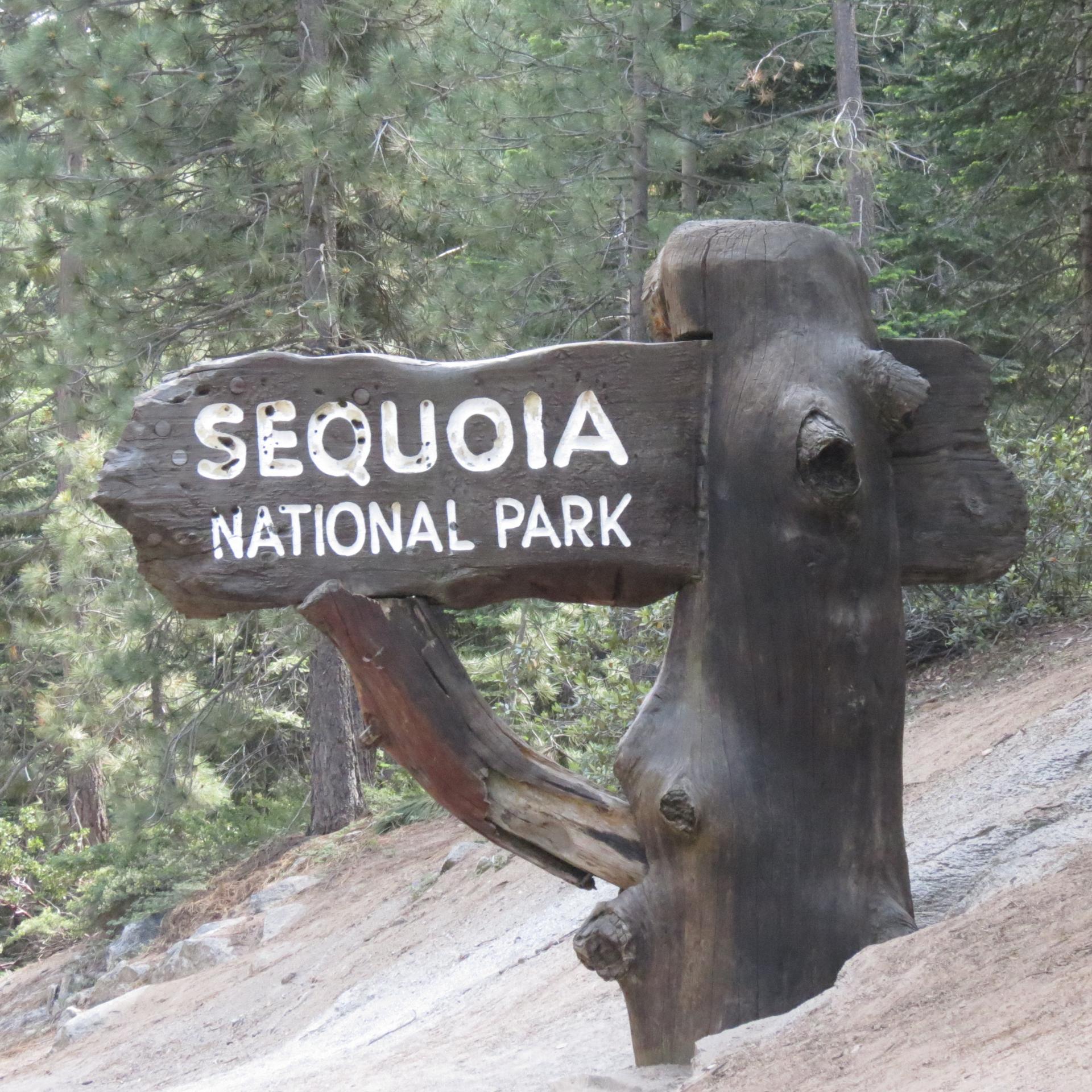 Sequoia kings canyon np 78