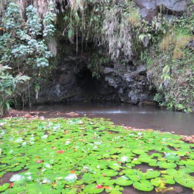 Tahiti grottes de mara a 18