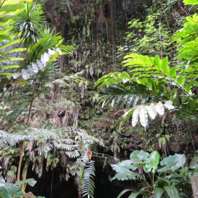 Tahiti grottes de mara a 3