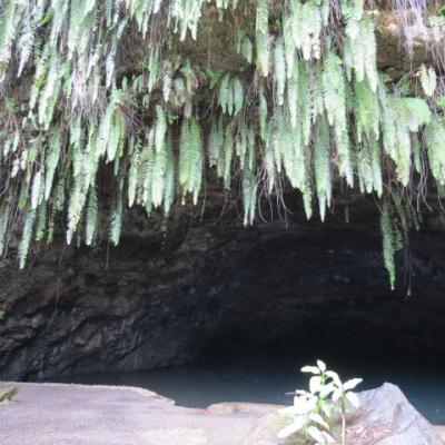 Tahiti grottes de mara a 7