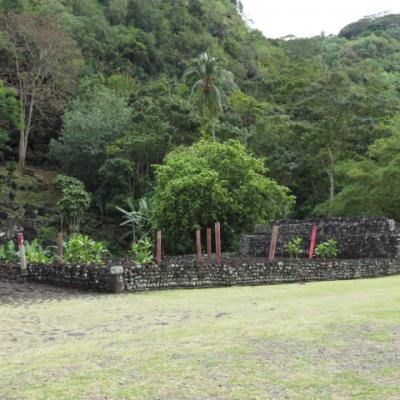 Tahiti marae arahurahu 22