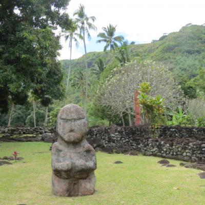 Tahiti marae arahurahu 29