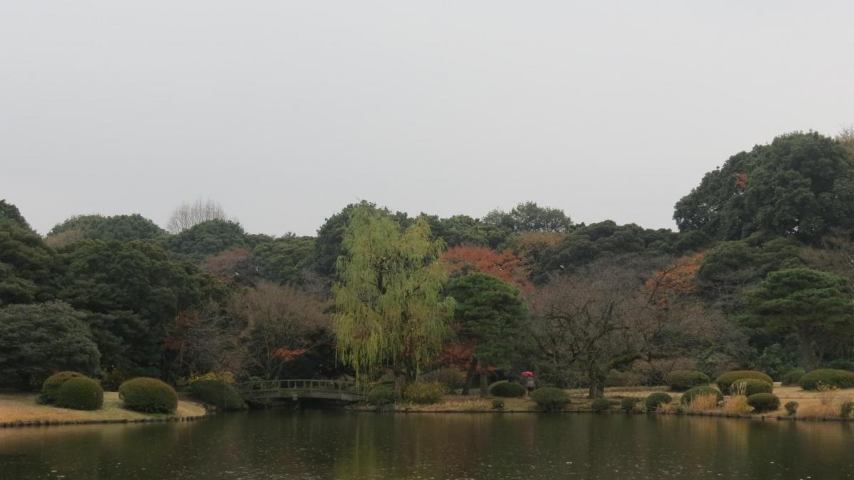 Tokyo jardin national shinjuku gyoen 16