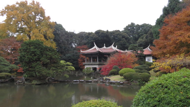 Tokyo jardin national shinjuku gyoen 38